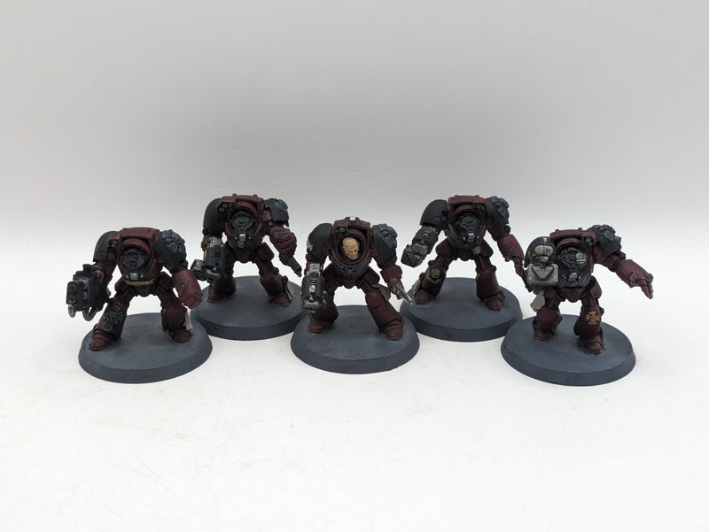 Warhammer 40k: Space Marine Flesh Tearers Terminators (AI287)