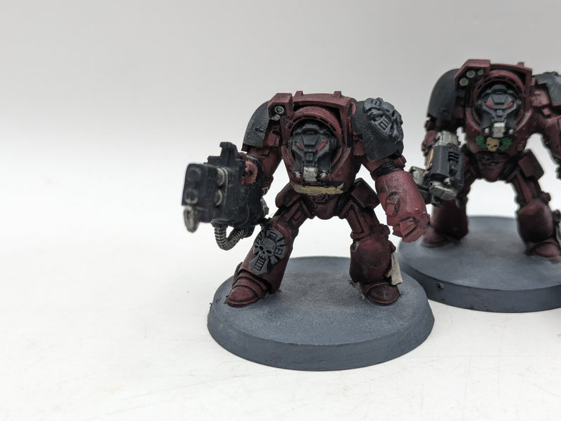 Warhammer 40k: Space Marine Flesh Tearers Terminators (AI287)