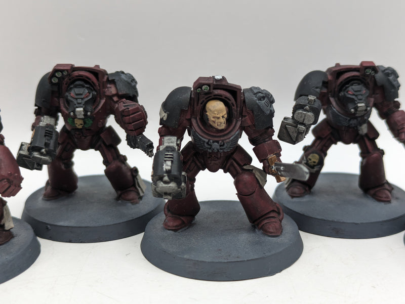 Warhammer 40k: Space Marine Flesh Tearers Terminators (AI287)