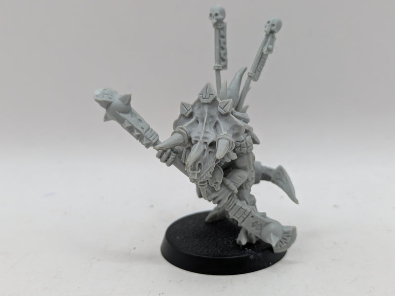 Warhammer Age of Sigmar: Seraphon Finecast Eternity Warden Chakax (AQ011)