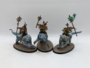 Warhammer Age of Sigmar: Stormcast Eternals Evocators on Dracolines (BF005)