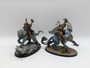 Warhammer Age of Sigmar: Stormcast Eternals Lord Arcanum and Lord Aquilor (BF022)
