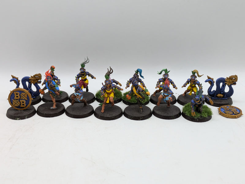 Blood Bowl: Amazons Blood Bowl Team Painted (AH108)