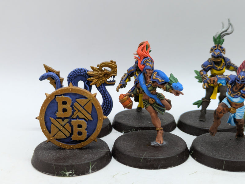 Blood Bowl: Amazons Blood Bowl Team Painted (AH108)