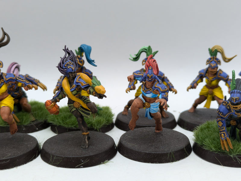 Blood Bowl: Amazons Blood Bowl Team Painted (AH108)