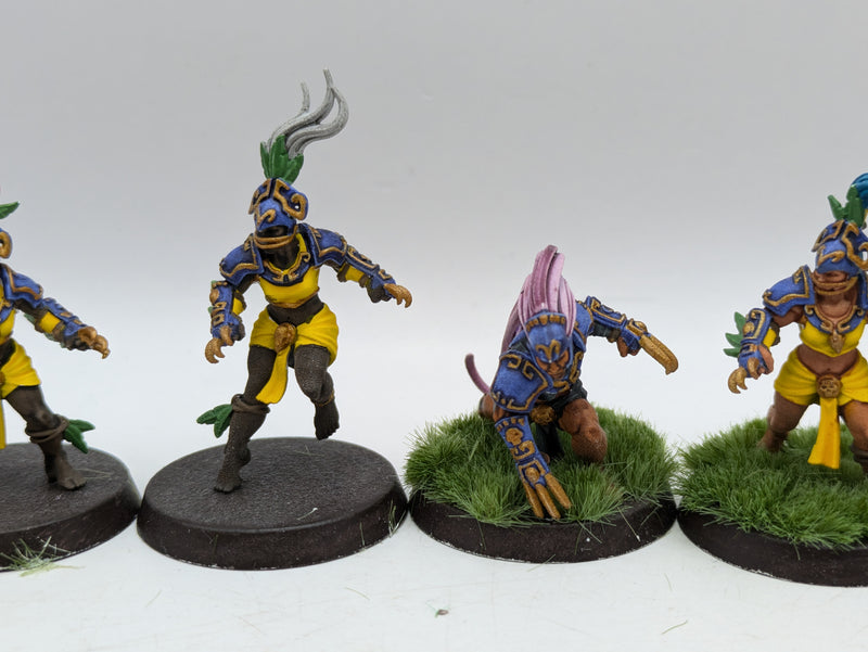 Blood Bowl: Amazons Blood Bowl Team Painted (AH108)