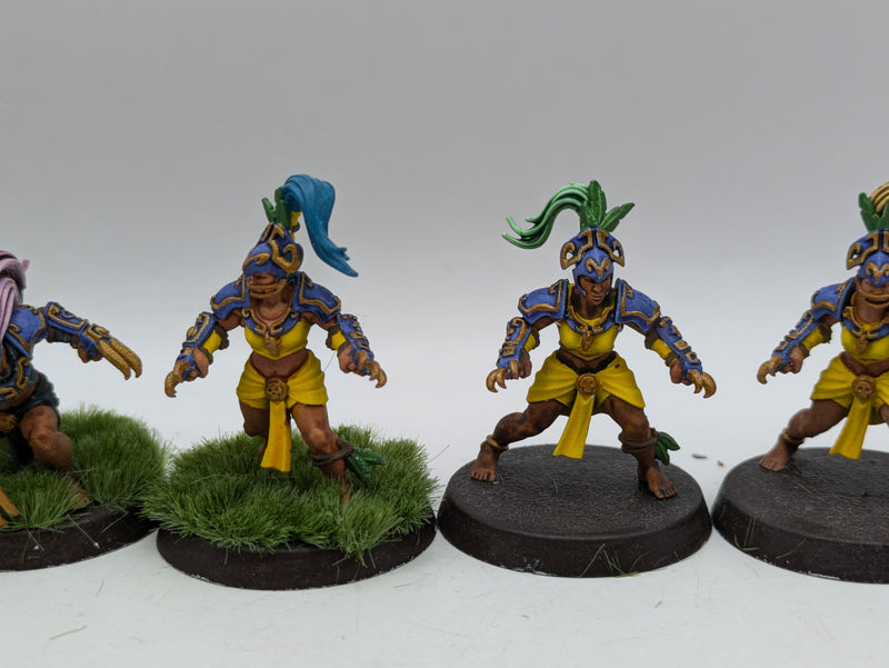 Blood Bowl: Amazons Blood Bowl Team Painted (AH108)