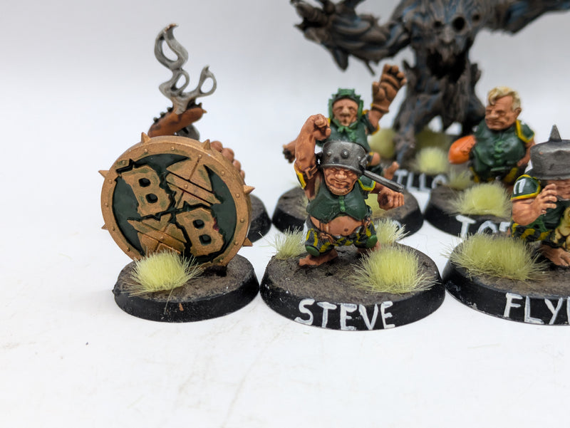 Blood Bowl: Halflings Blood Bowl Team (AR048)