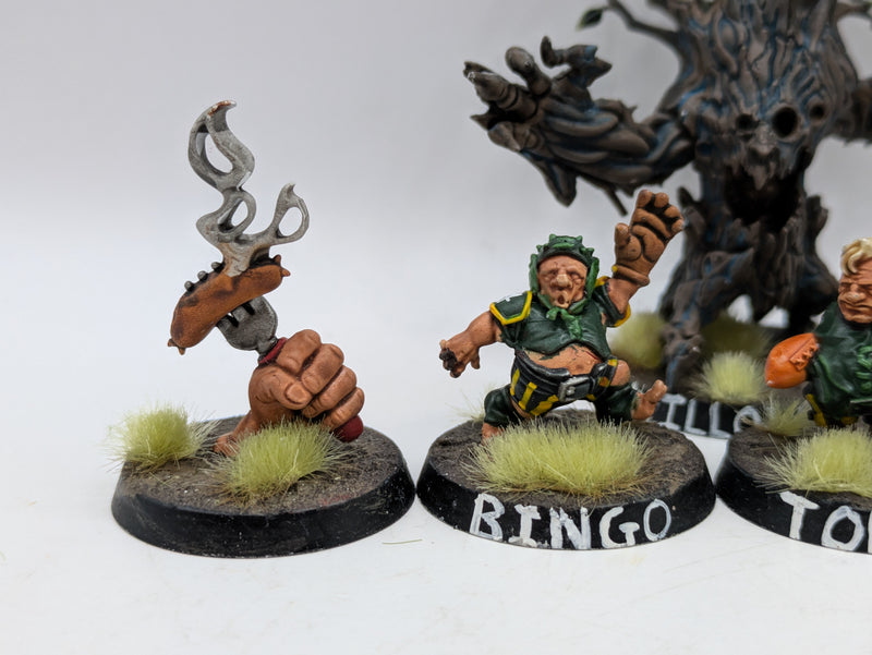 Blood Bowl: Halflings Blood Bowl Team (AR048)