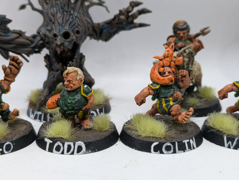 Blood Bowl: Halflings Blood Bowl Team (AR048)