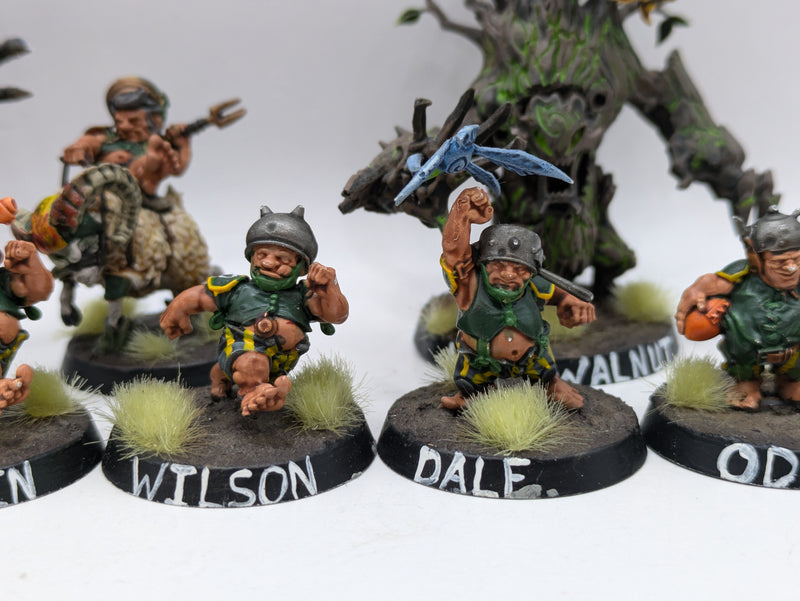 Blood Bowl: Halflings Blood Bowl Team (AR048)