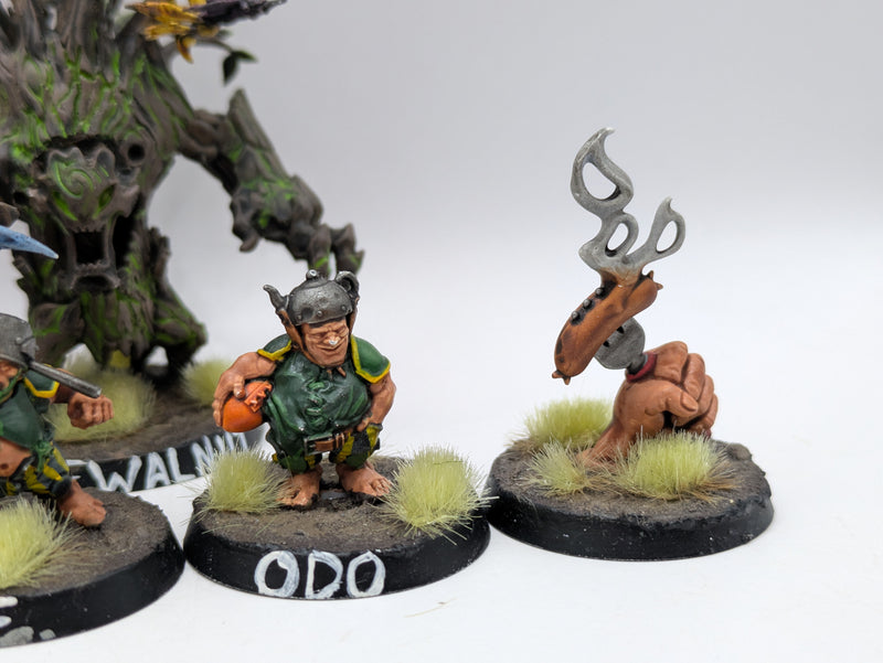 Blood Bowl: Halflings Blood Bowl Team (AR048)