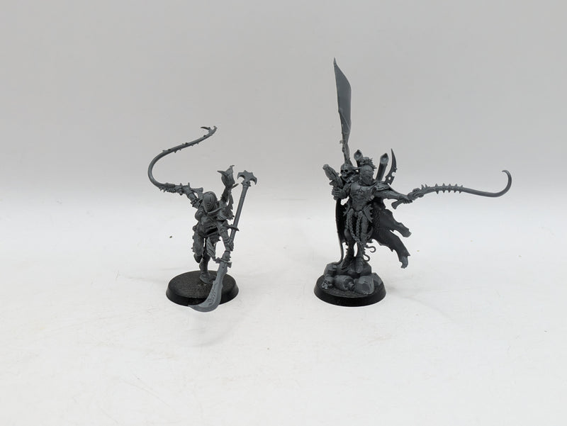 Warhammer 40k: Drukhari Archon and Succubus (AW021)