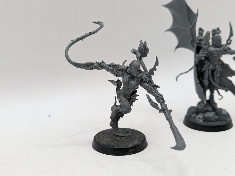 Warhammer 40k: Drukhari Archon and Succubus (AW021)