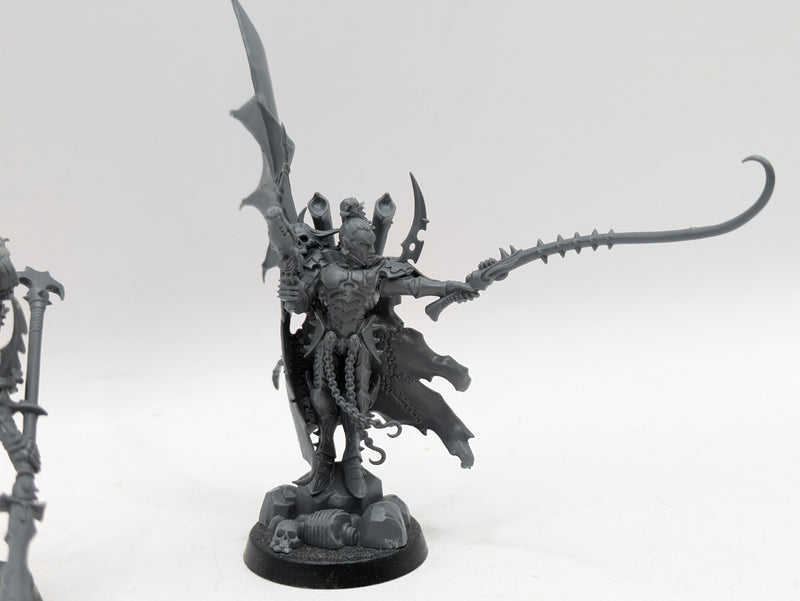 Warhammer 40k: Drukhari Archon and Succubus (AW021)