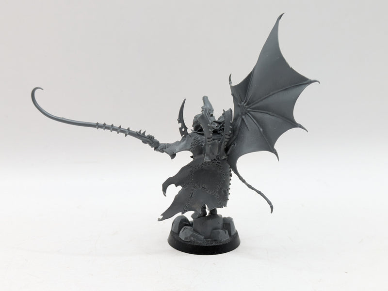 Warhammer 40k: Drukhari Archon and Succubus (AW021)