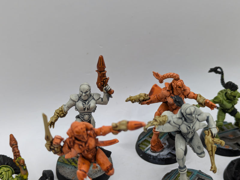 Warhammer 40k: Aeldari Harlequin Troupe (AI245)