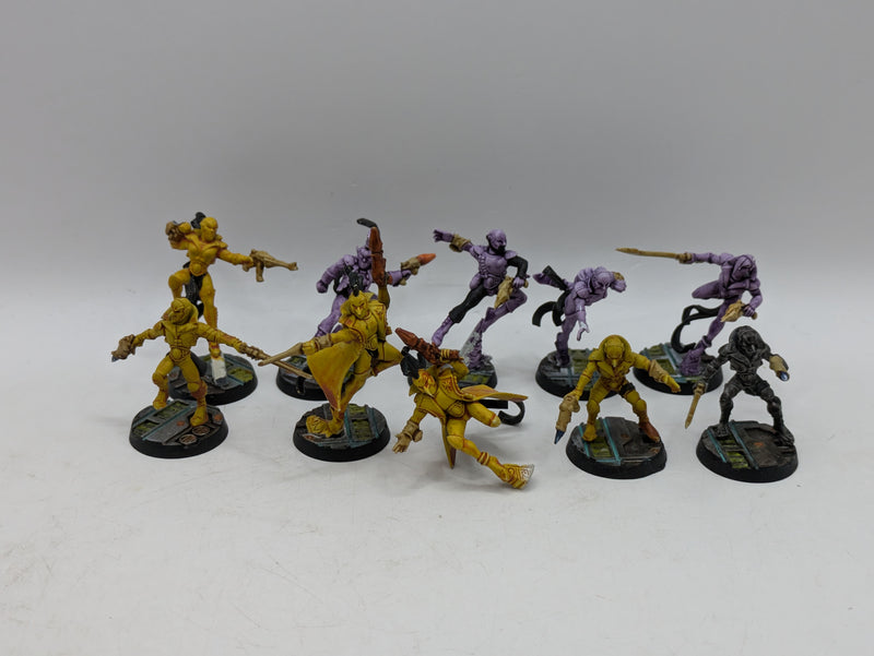 Warhammer 40k: Aeldari Harlequin Troupe (AI244)