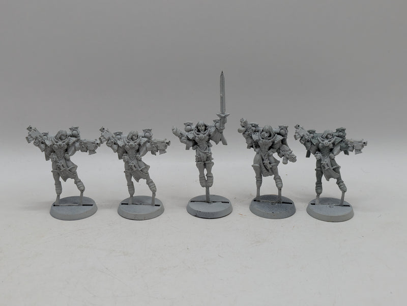 Warhammer 40k: Adepta Sororitas Metal Seraphim Squad (AJ119)