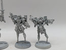 Warhammer 40k: Adepta Sororitas Metal Seraphim Squad (AJ119)
