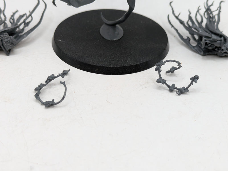 Warhammer Age of Sigmar: Nighthaunt Lady Olynder, Mortarch of Grief (AI259)