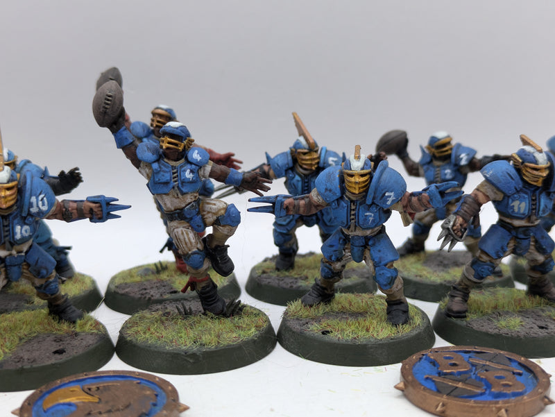 Blood Bowl: Human Blood Bowl Team with Ogre Painted (AI003)