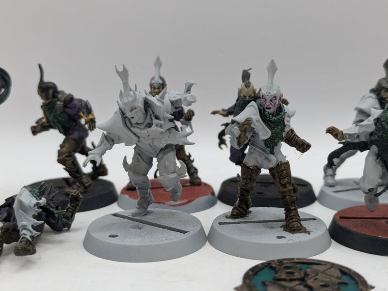 Blood Bowl: Dark Elves Blood Bowl Team with Star Player Roxanna Darknail (BA151)