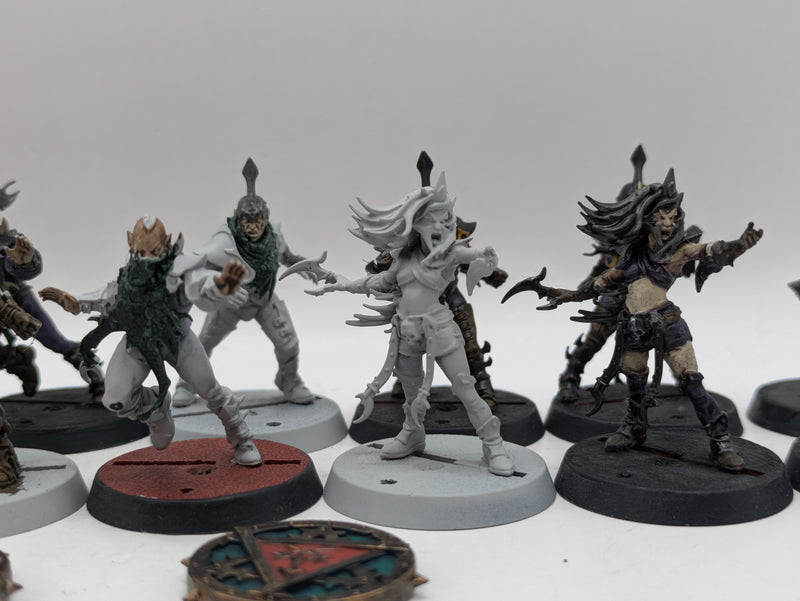 Blood Bowl: Dark Elves Blood Bowl Team with Star Player Roxanna Darknail (BA151)