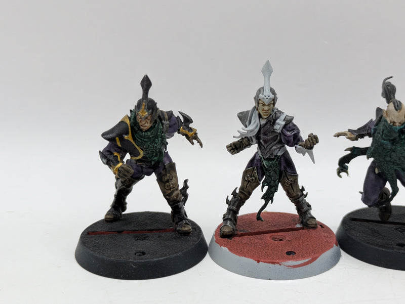 Blood Bowl: Dark Elves Blood Bowl Team with Star Player Roxanna Darknail (BA151)