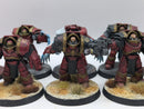 Warhammer Horus Heresy: Legiones Astartes Blood Angels Cataphractii Terminators (AW066)