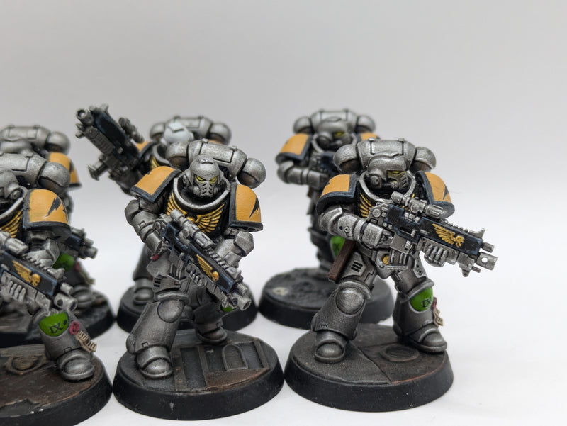 Warhammer 40k: Space Marines Intercessors - Well Painted (AI179)