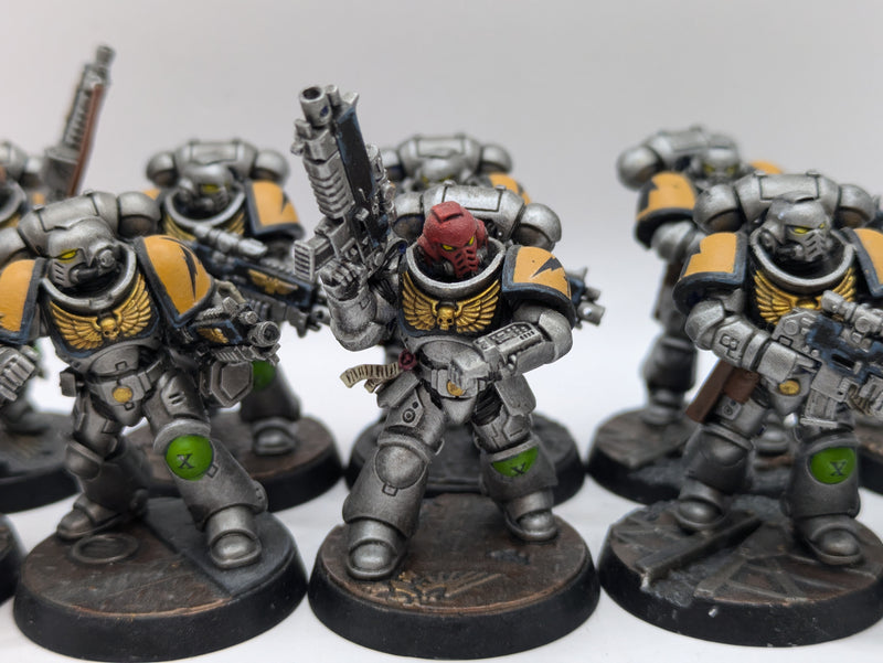 Warhammer 40k: Space Marines Intercessors - Well Painted (AD023)