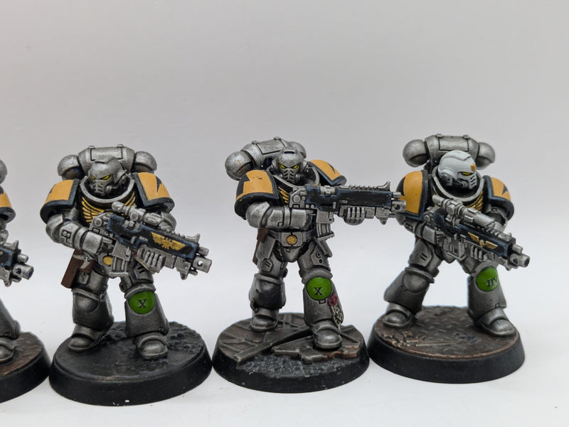 Warhammer 40k: Space Marines Intercessors - Well Painted (AD023)