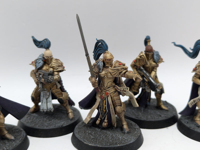 Warhammer 40k: Adpetus Custodes Sisters of Silence (AD108)