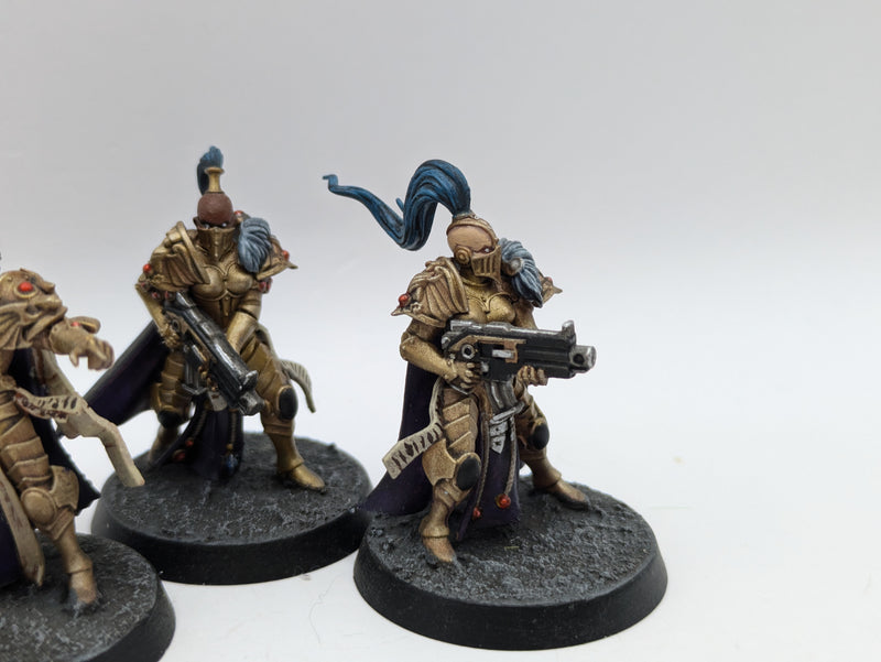 Warhammer 40k: Adpetus Custodes Sisters of Silence (AD108)