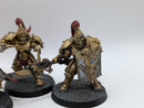 Warhammer 40k: Adpetus Custodes Custodian Guard (AF015)