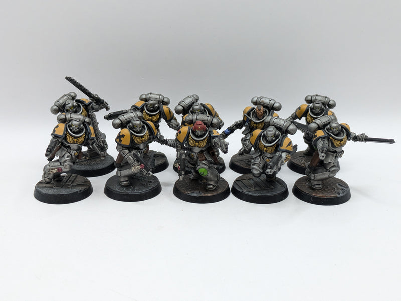 Warhammer 40k: Space Marine Assault Intercessors - Well Painted (AW170)