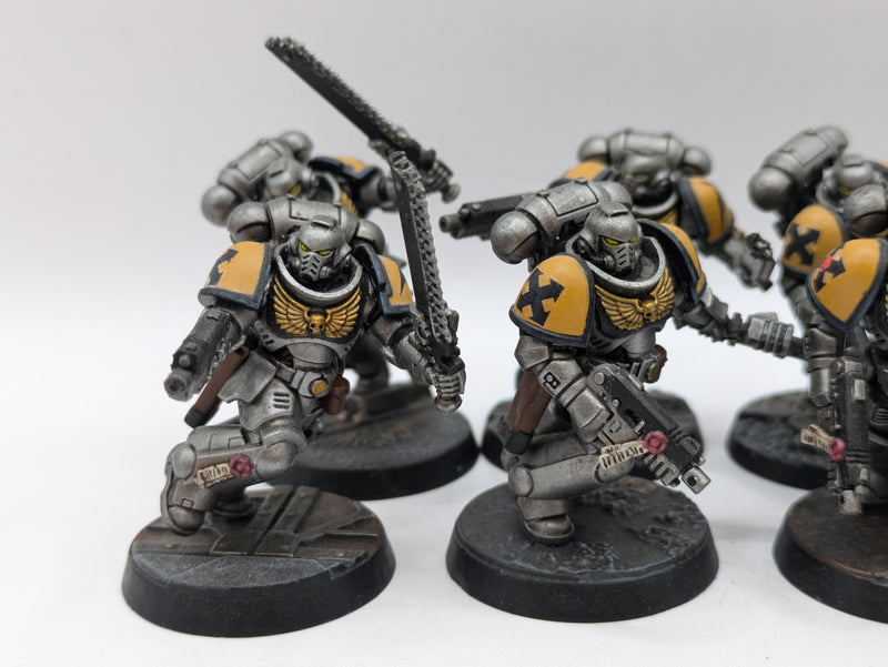 Warhammer 40k: Space Marine Assault Intercessors - Well Painted (AW170)