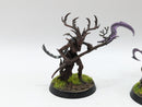 Warhammer Age of Sigmar: Sylvaneth Spite-Revenants and Branchwych (AA015)