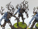 Warhammer Age of Sigmar: Sylvaneth Spite-Revenants and Branchwych (AA015)