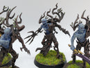 Warhammer Age of Sigmar: Sylvaneth Spite-Revenants and Branchwych (AA015)