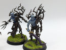 Warhammer Age of Sigmar: Sylvaneth Spite-Revenants and Branchwych (AA015)