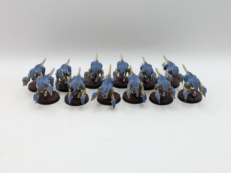 Warhammer 40k: Tyranid Termagant Brood (AE046)