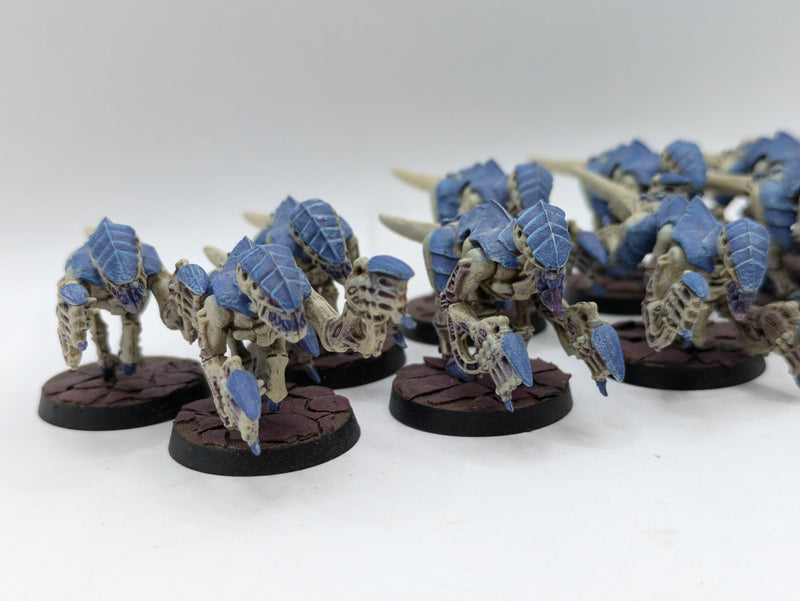 Warhammer 40k: Tyranid Termagant Brood (AE046)