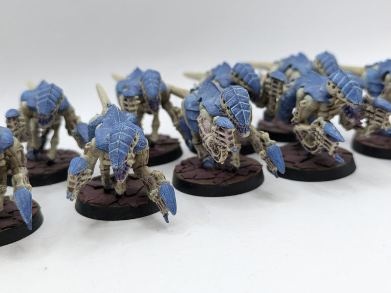 Warhammer 40k: Tyranid Termagant Brood (AE046)
