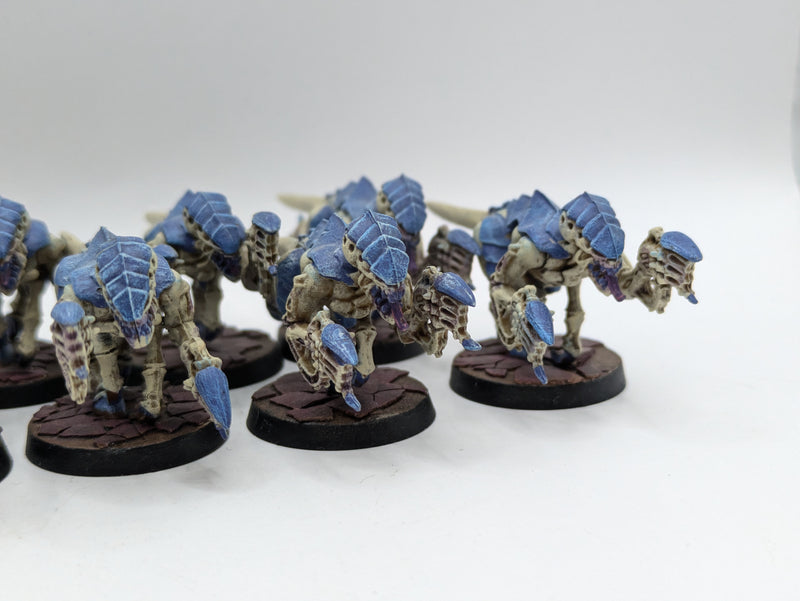 Warhammer 40k: Tyranid Termagant Brood (AE046)