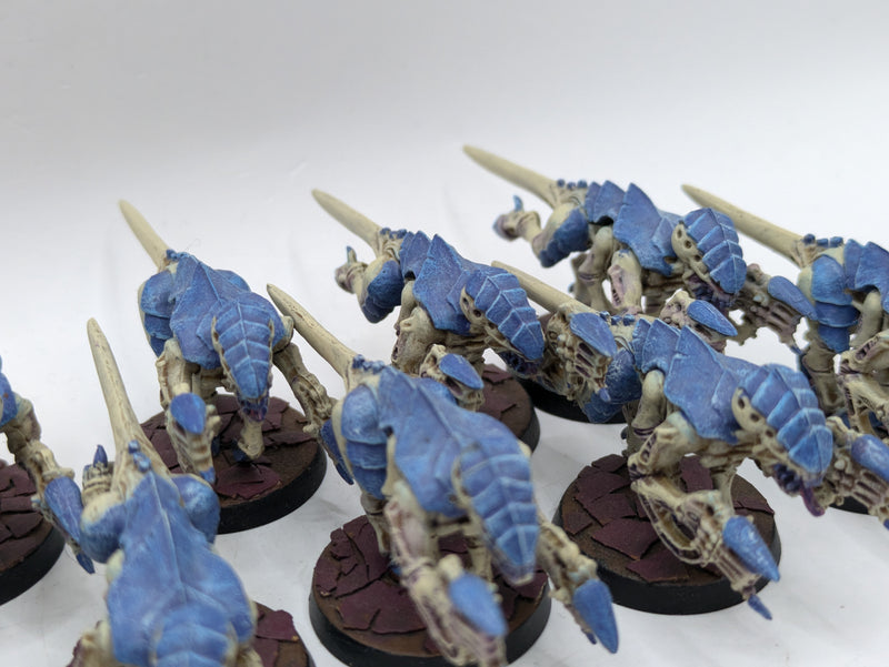 Warhammer 40k: Tyranid Termagant Brood (AE046)