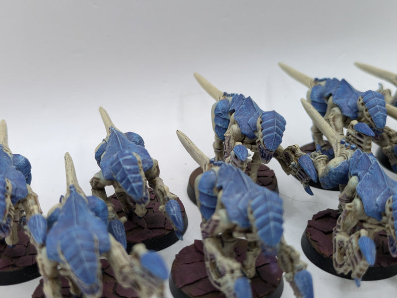 Warhammer 40k: Tyranid Termagant Brood (AE046)
