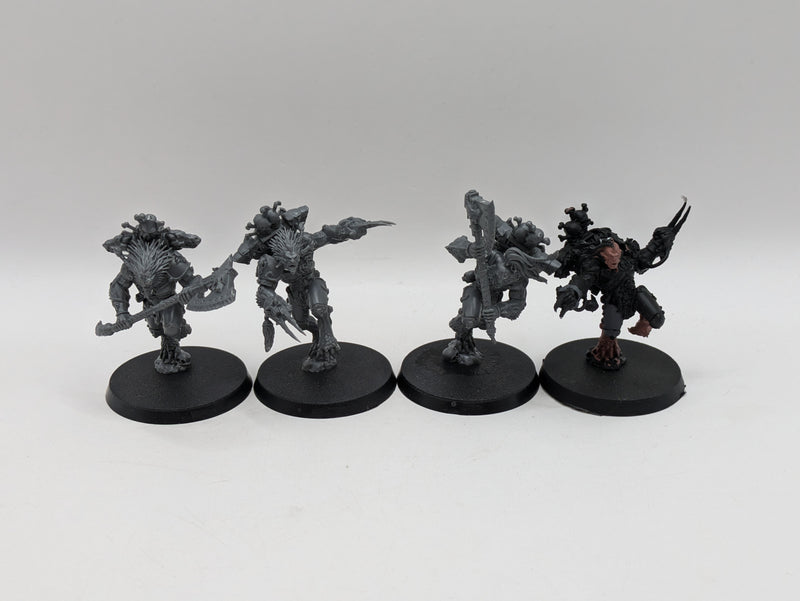 Warhammer 40k: Space Marine Space Wolves Wulfen (AO018)