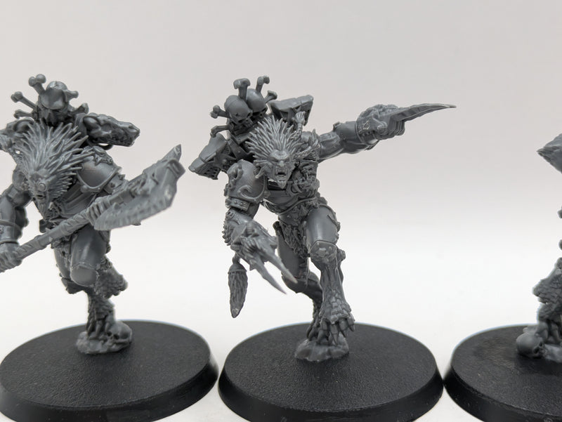 Warhammer 40k: Space Marine Space Wolves Wulfen (AO018)